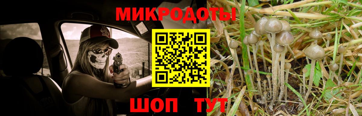 Псилоцибиновые грибы Magic Shrooms Каменка