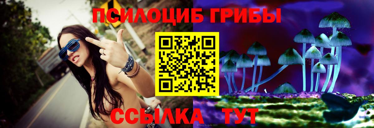 Галлюциногенные грибы Psilocybine cubensis  дарнет шоп  Каменка  Вход с VPN 
